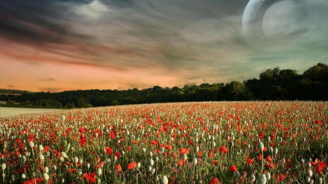 阿里云为什么没有一年的免费云服务？